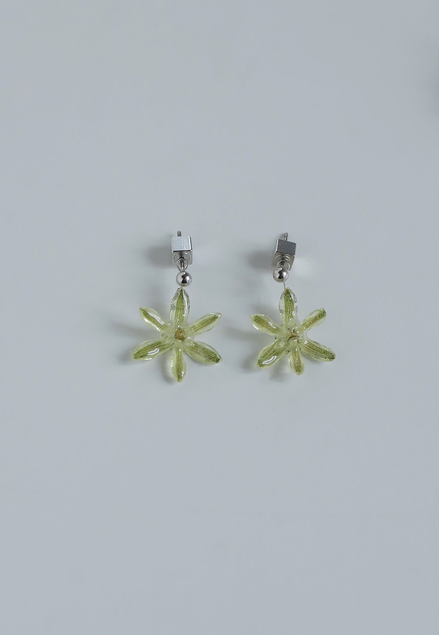 Flower Earrings [Ornithogalum]