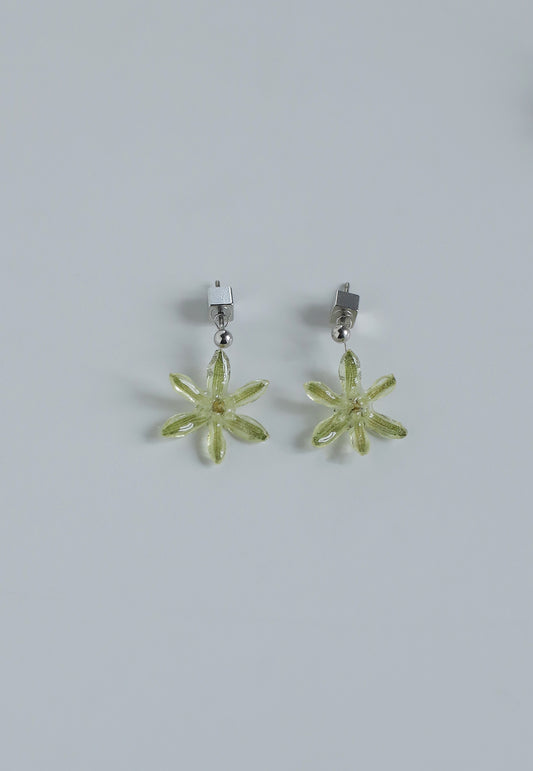 Flower Earrings [Ornithogalum]