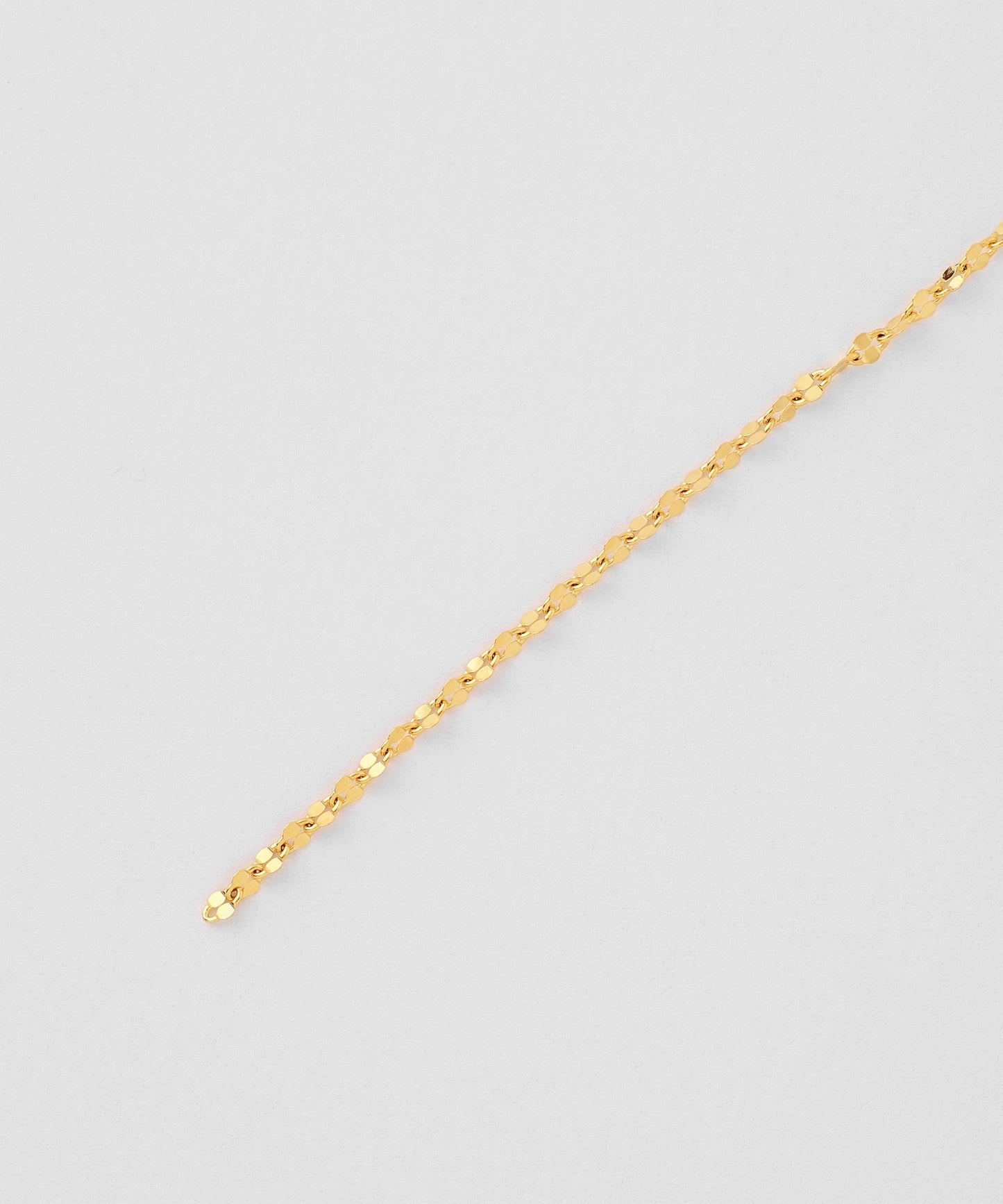 Eclair chain Y Shaped Necklace