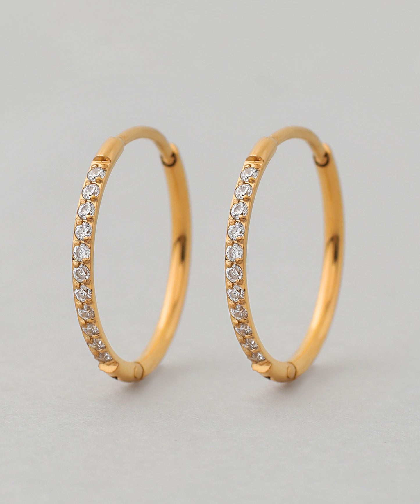 【Stainless Seel IP】Bijou Hoop Earrings