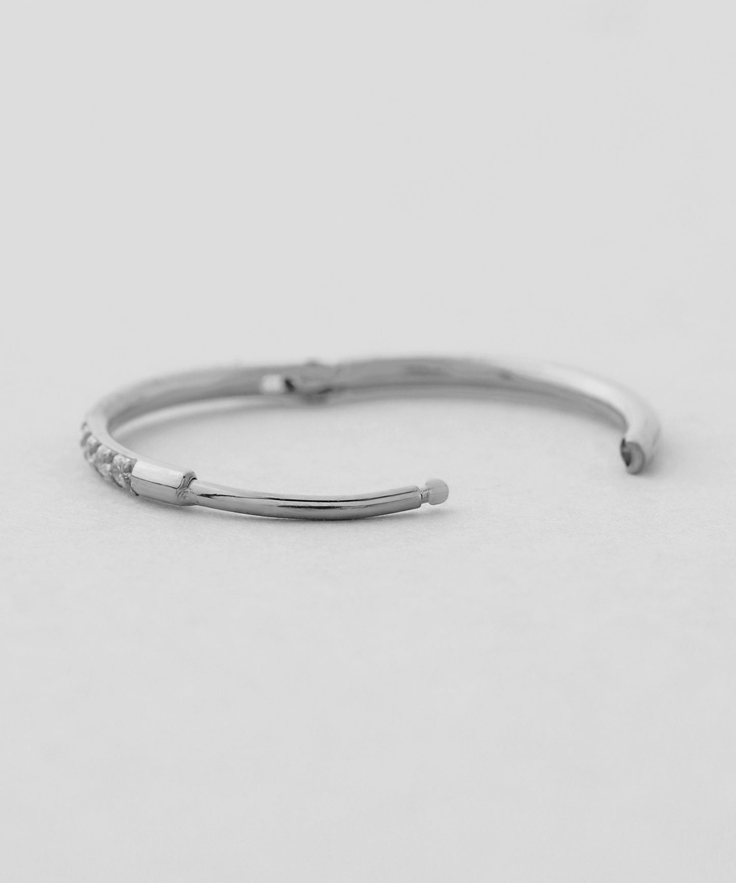 【Stainless Seel IP】Bijou Hoop Earrings