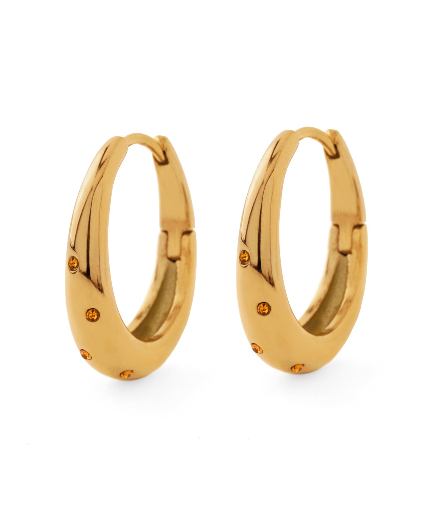 Bijou Hoop Earrings [Stainless Steel]