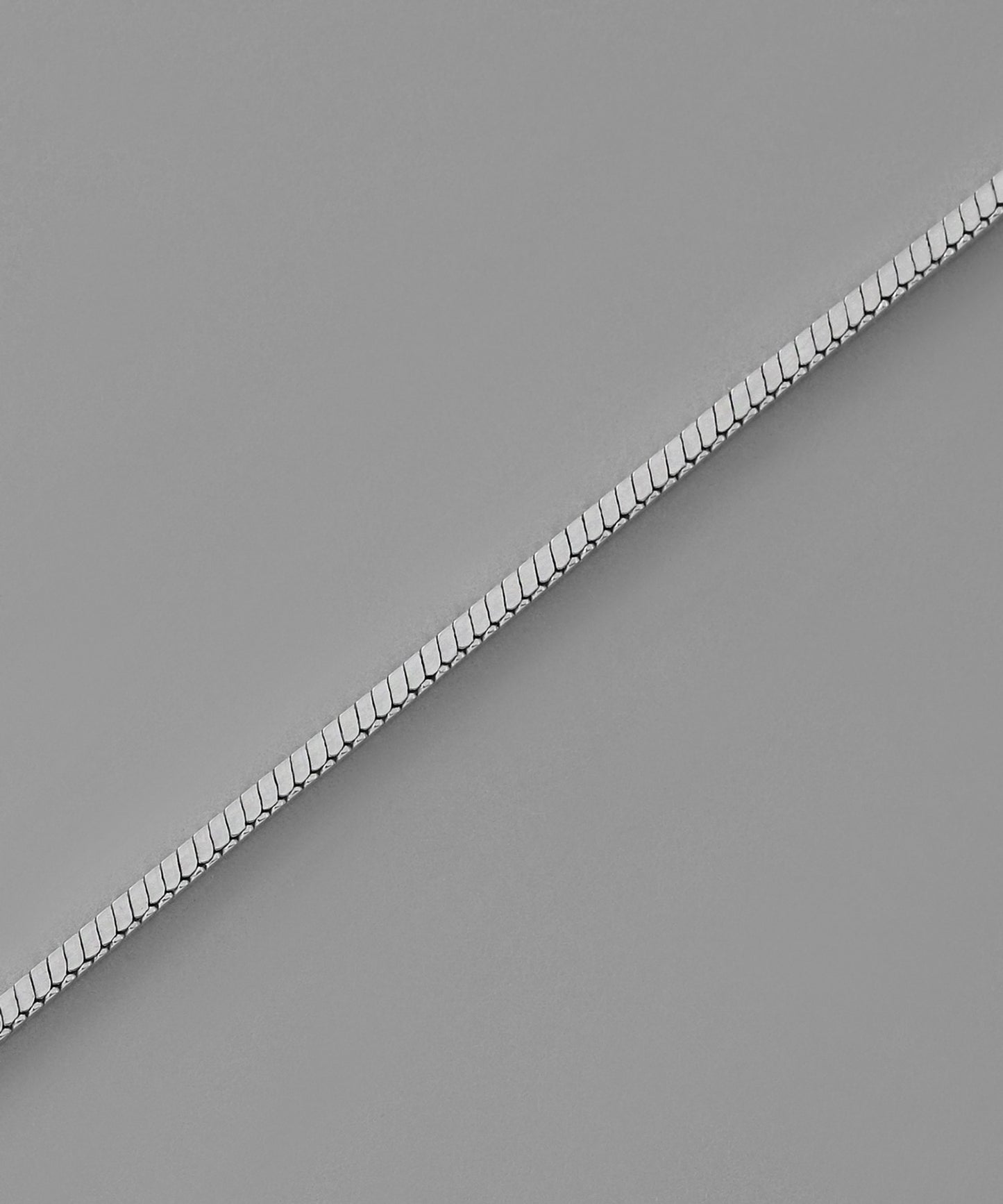Snake Chain Long Earrings [925silver]