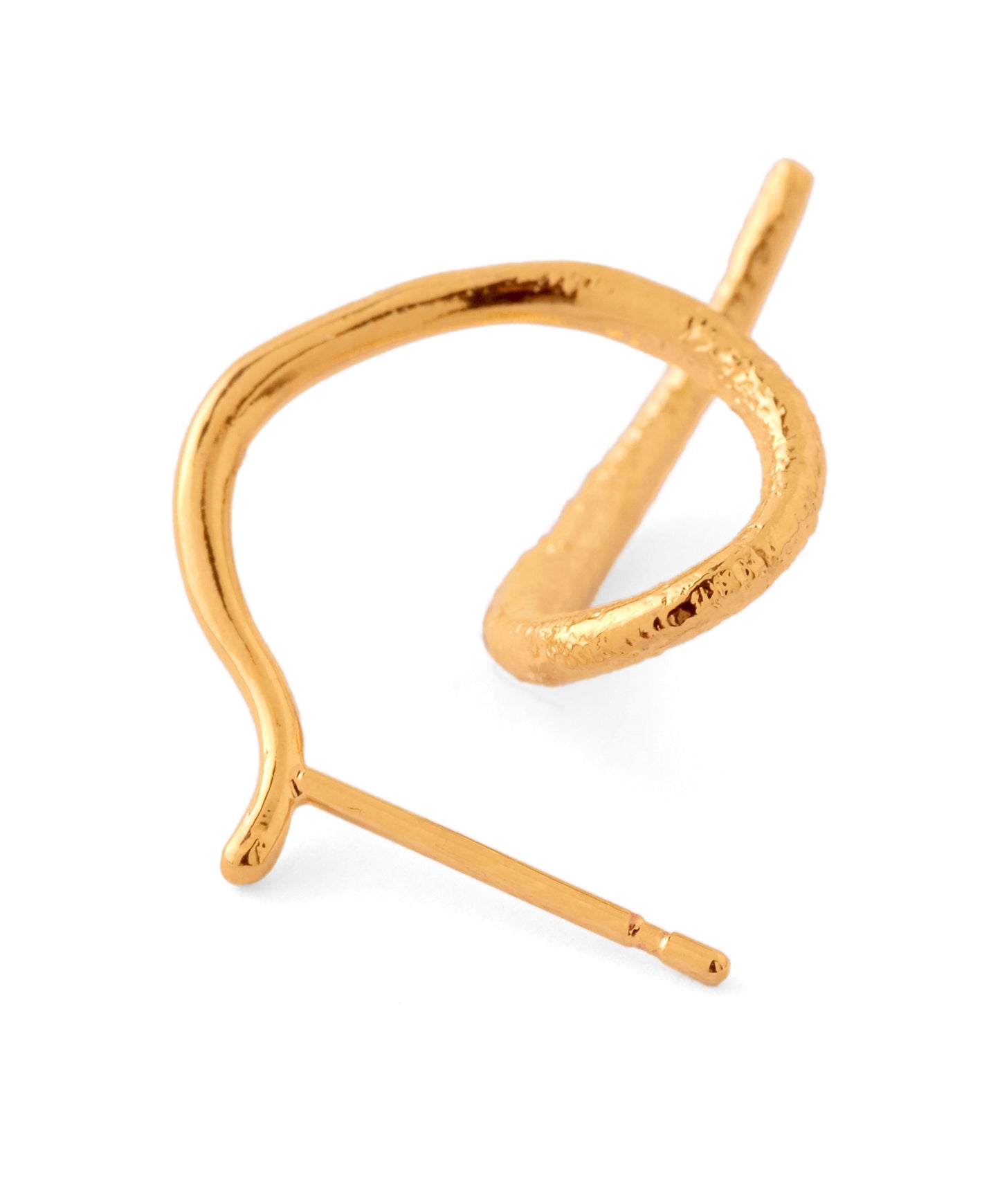 Color Bijou Loop Hoop Earrings