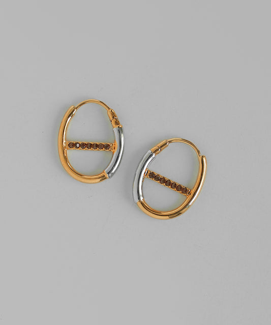 Bijou & Two-Tone Hoop Earrings