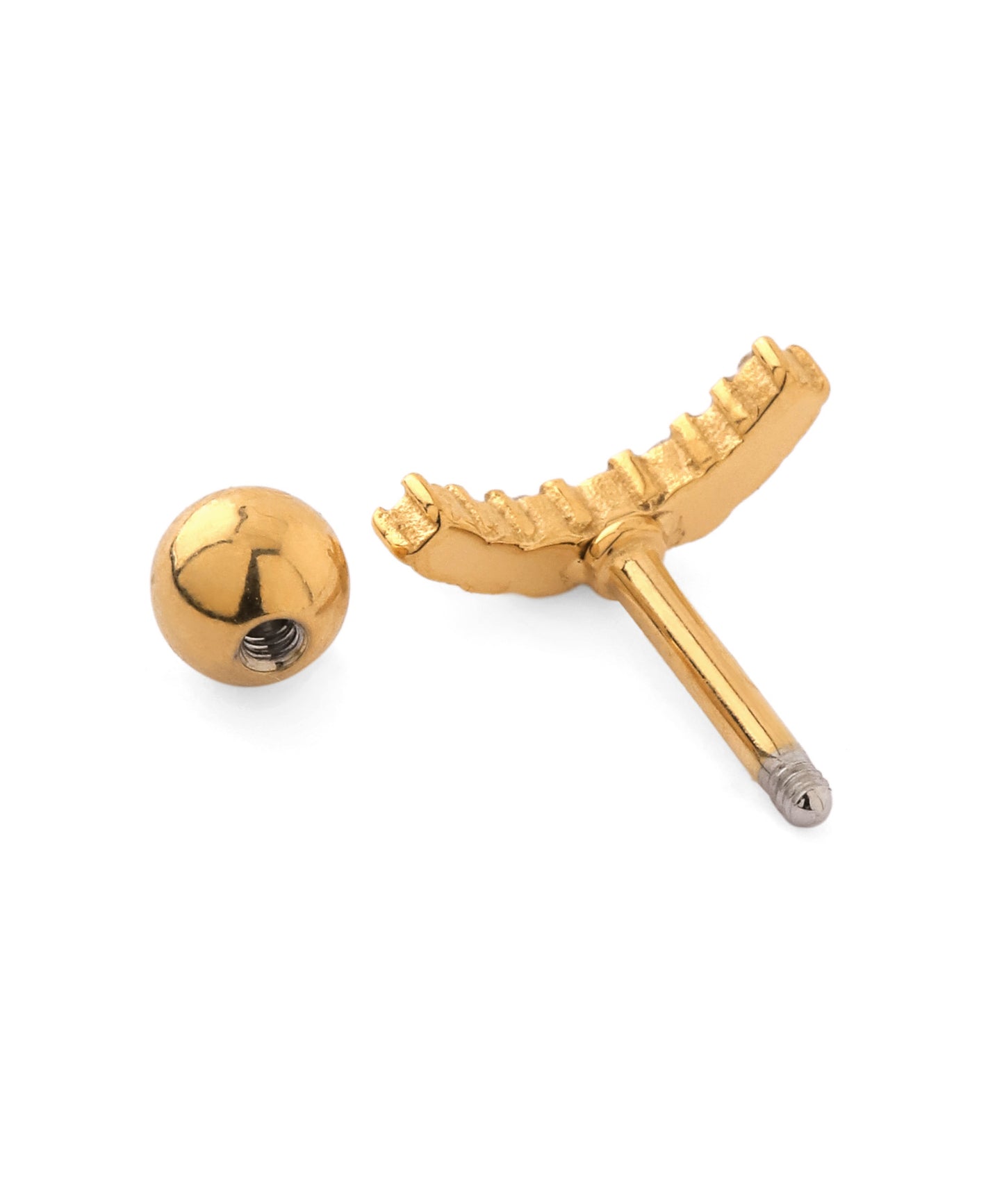 Bijou & Hoop Cartilage Earrings [Stainless Steel]