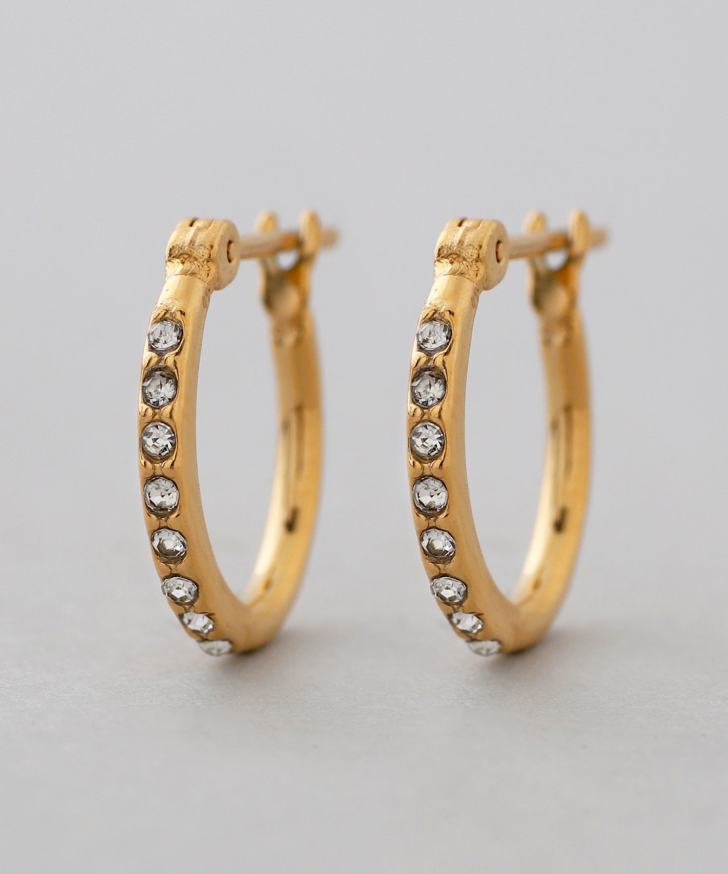 【Stainless Steel IP】Bijou Hoop Earrings