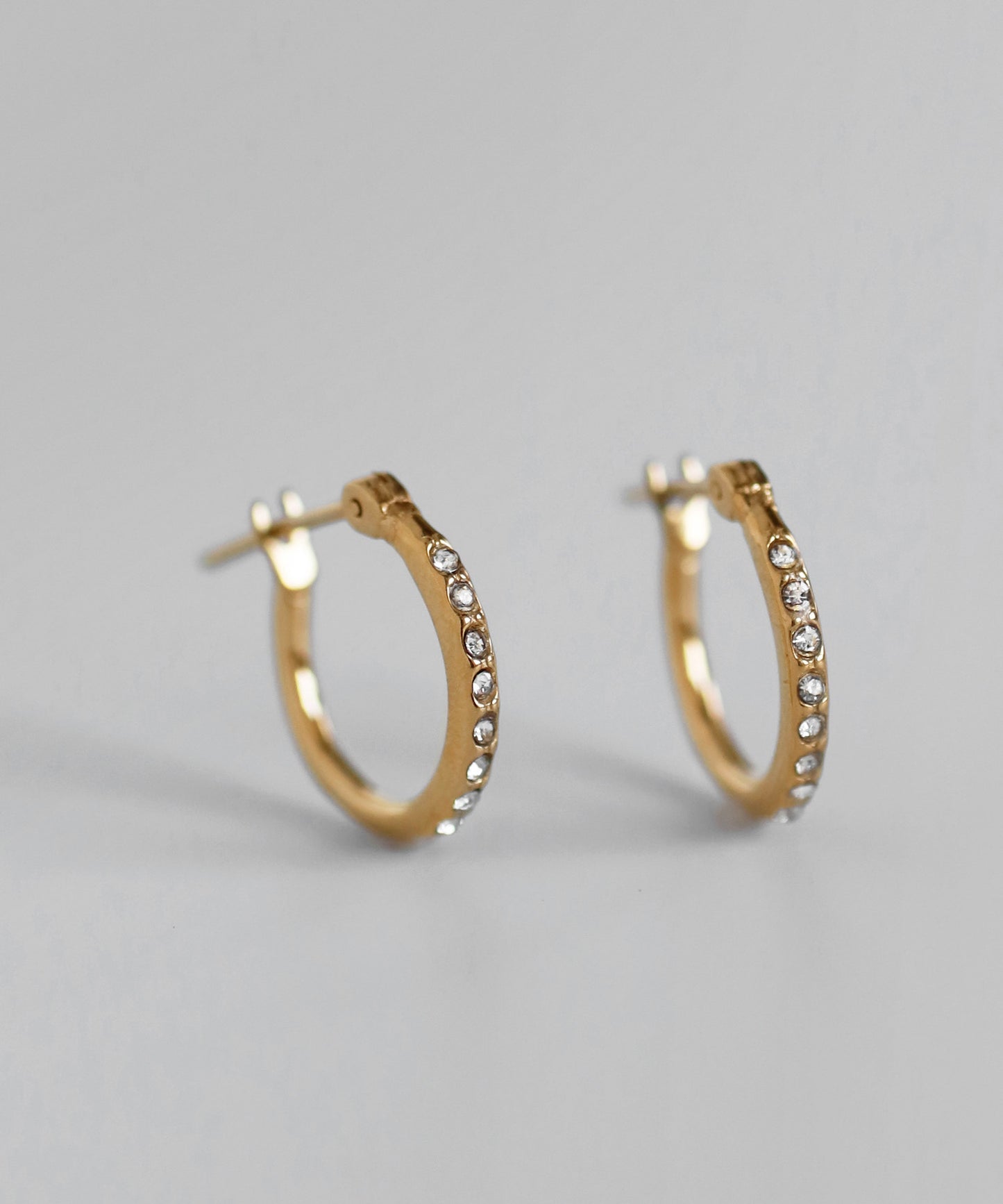 【Stainless Steel IP】Bijou Hoop Earrings