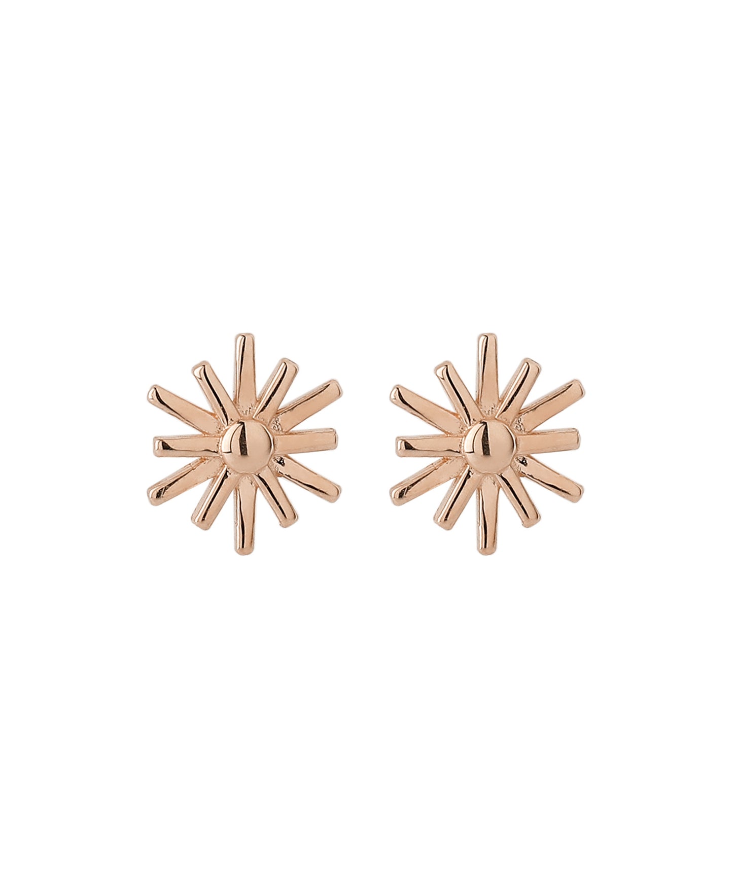 Flower Earrings [10K][Basic]