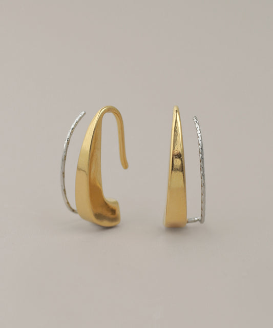 Two-Tone Hook Earrings [Surgical Stainless Steel] [UMU]