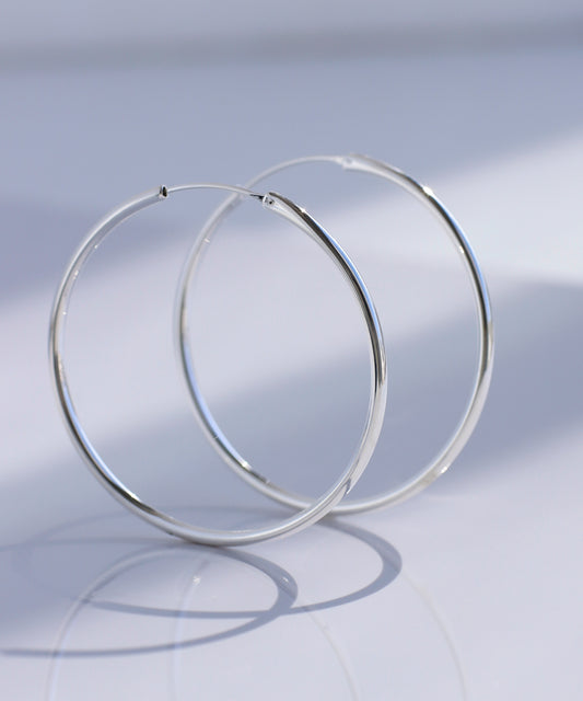 【Stainless IP】Hoop Earrings [LL]