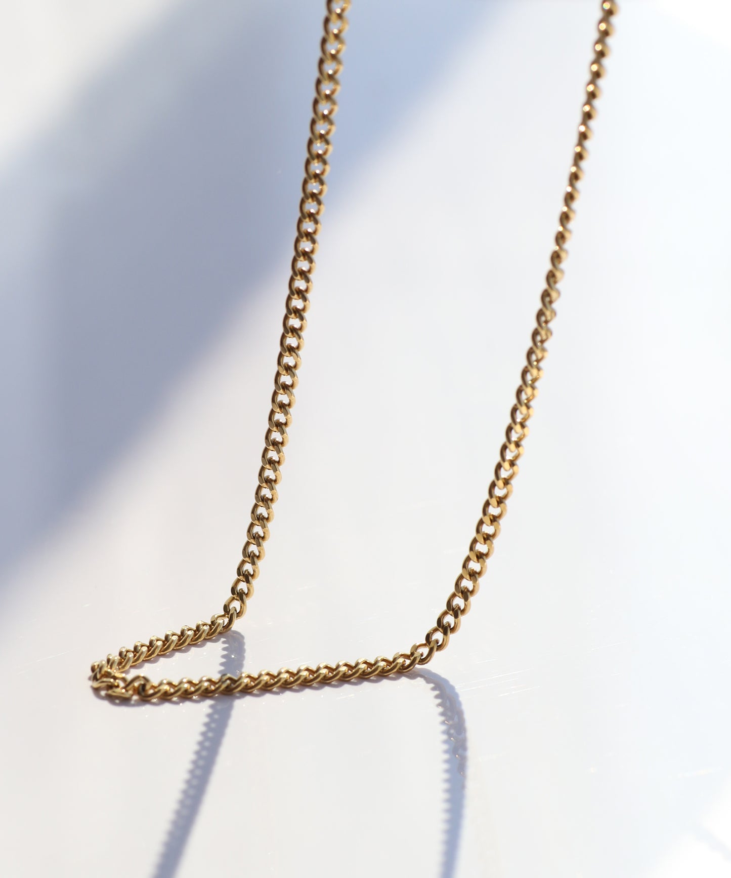 【Stainless Steel IP】Chain Necklace [D]