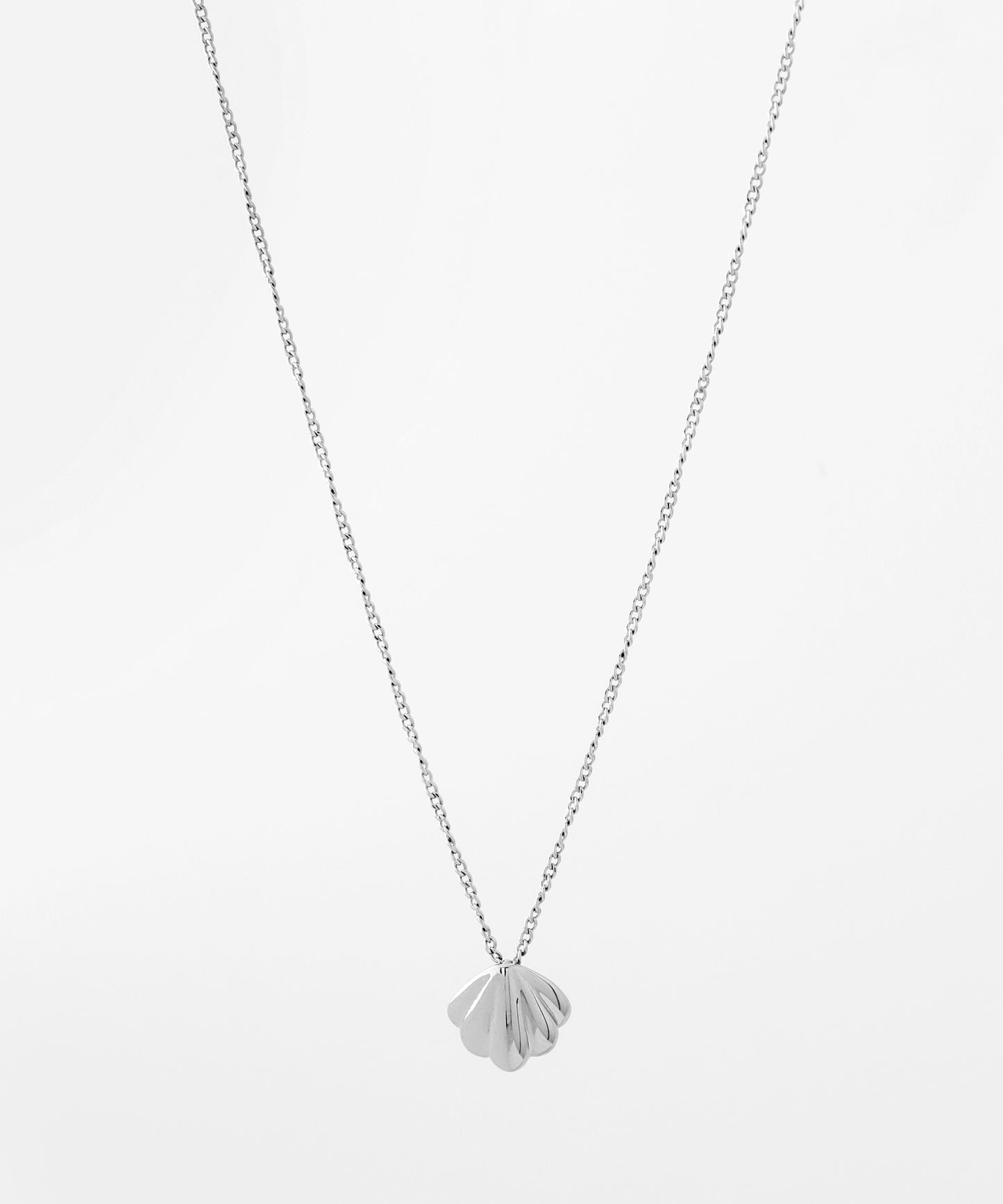 【Stainless Steel IP】Shell Motif Necklace