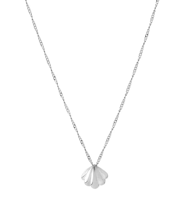Shell Motif Necklace [Surgical Stainless Steel]