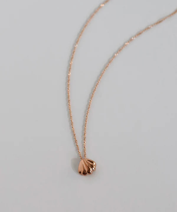 Shell Motif Necklace [Surgical Stainless Steel]