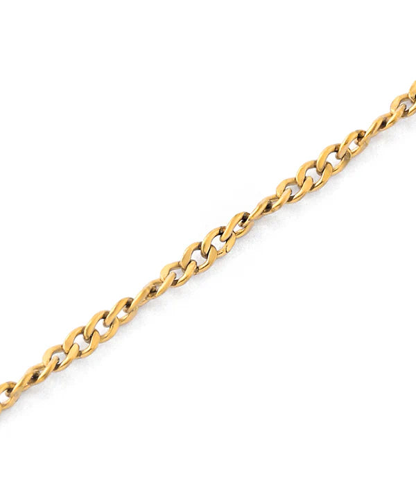 Medallion Necklace [Surgical Stainless Steel]