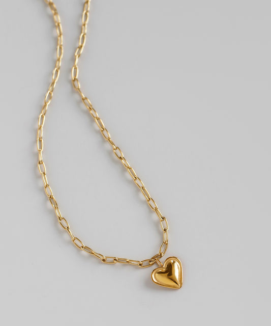 Heart Necklace [Surgical Stainless Steel]
