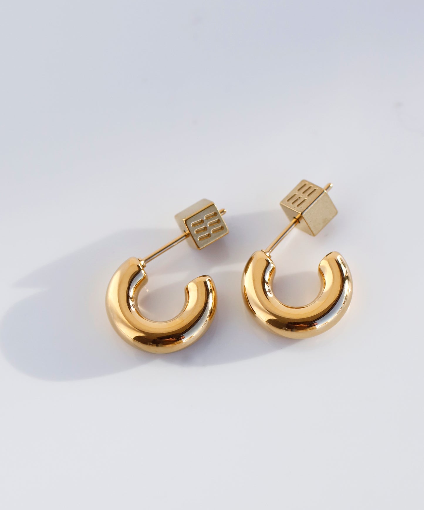 【Stainless Steel IP】 Hoop Earrings [M]