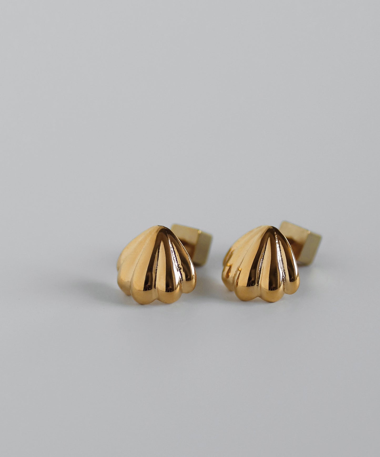 【Stainless Steel IP】Shell Motif Earrings