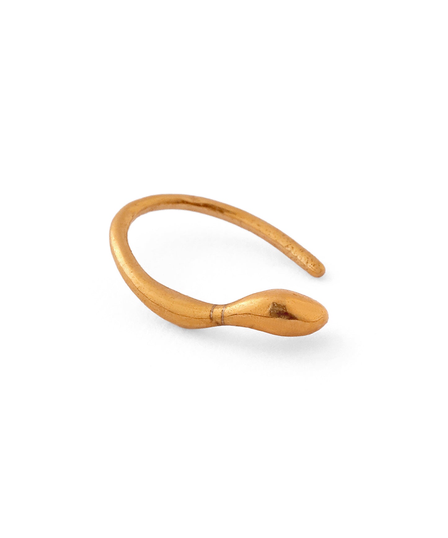 Nuance Hook Earrings [Surgical Stainless Steel]