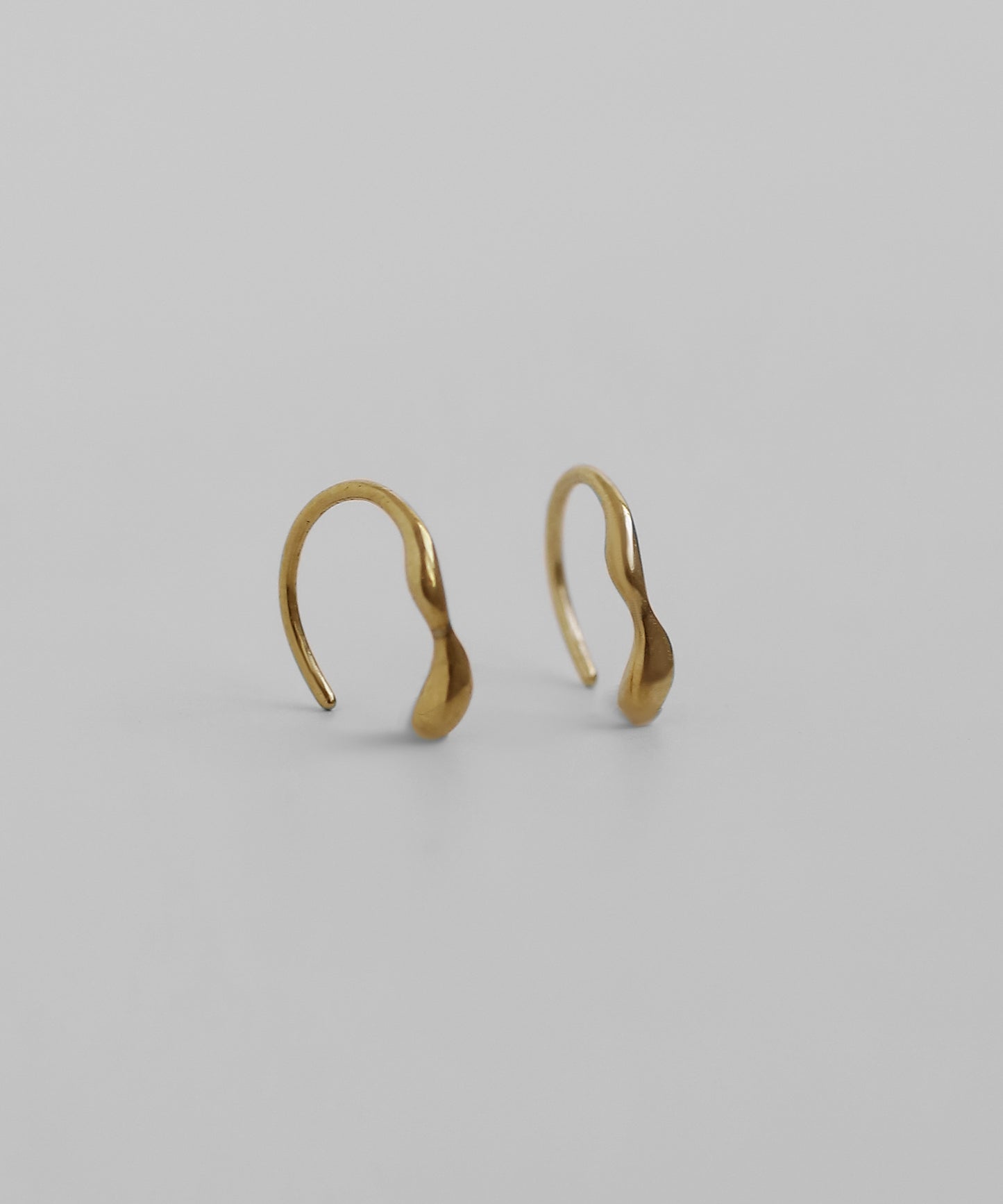Nuance Hook Earrings [Surgical Stainless Steel]