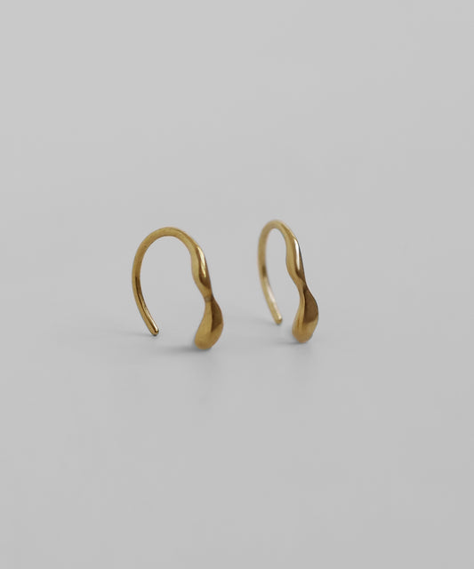 Nuance Hook Earrings [Surgical Stainless Steel]