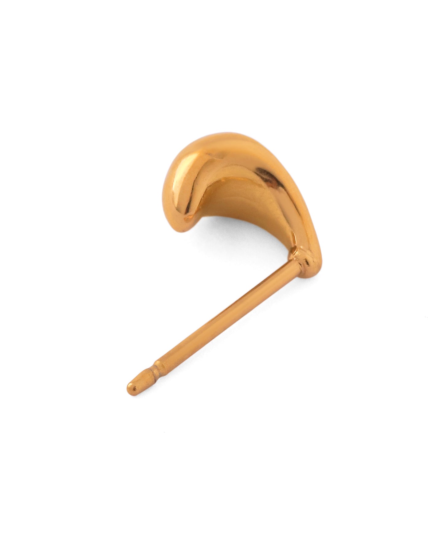 Drop Curl Earrings [Surgical Stainless Steel]