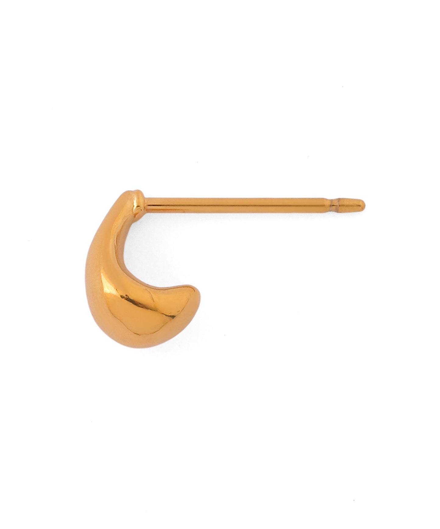 Drop Curl Earrings [Surgical Stainless Steel]