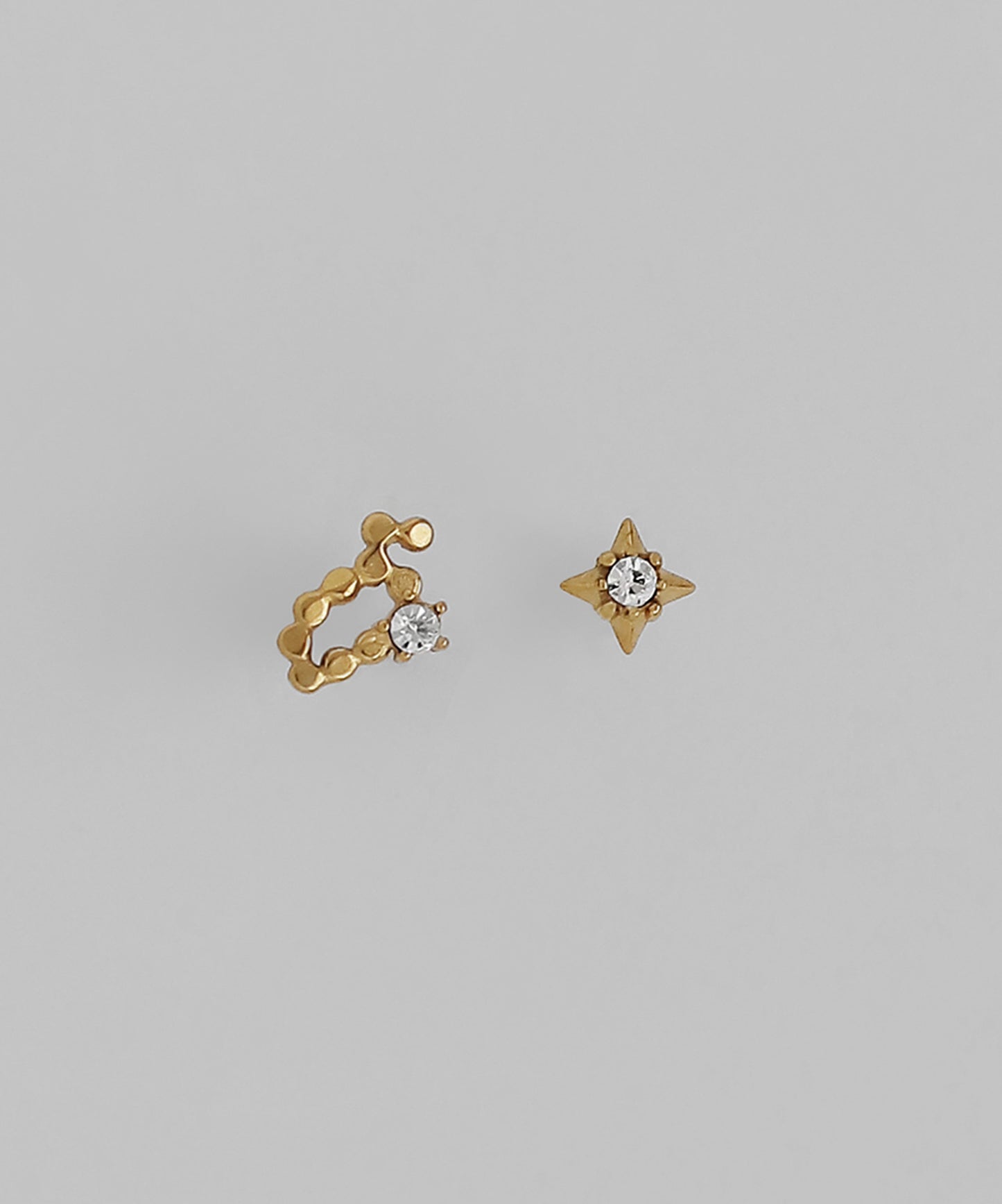 Constellation Earrings [Leo] [Surgical Stainless Steel]