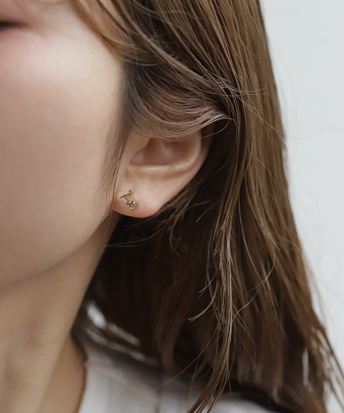 Constellation Earrings  [Pisces] [Surgical Stainless Steel]