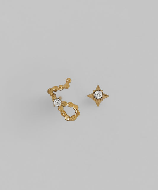 Constellation Earrings  [Pisces] [Surgical Stainless Steel]