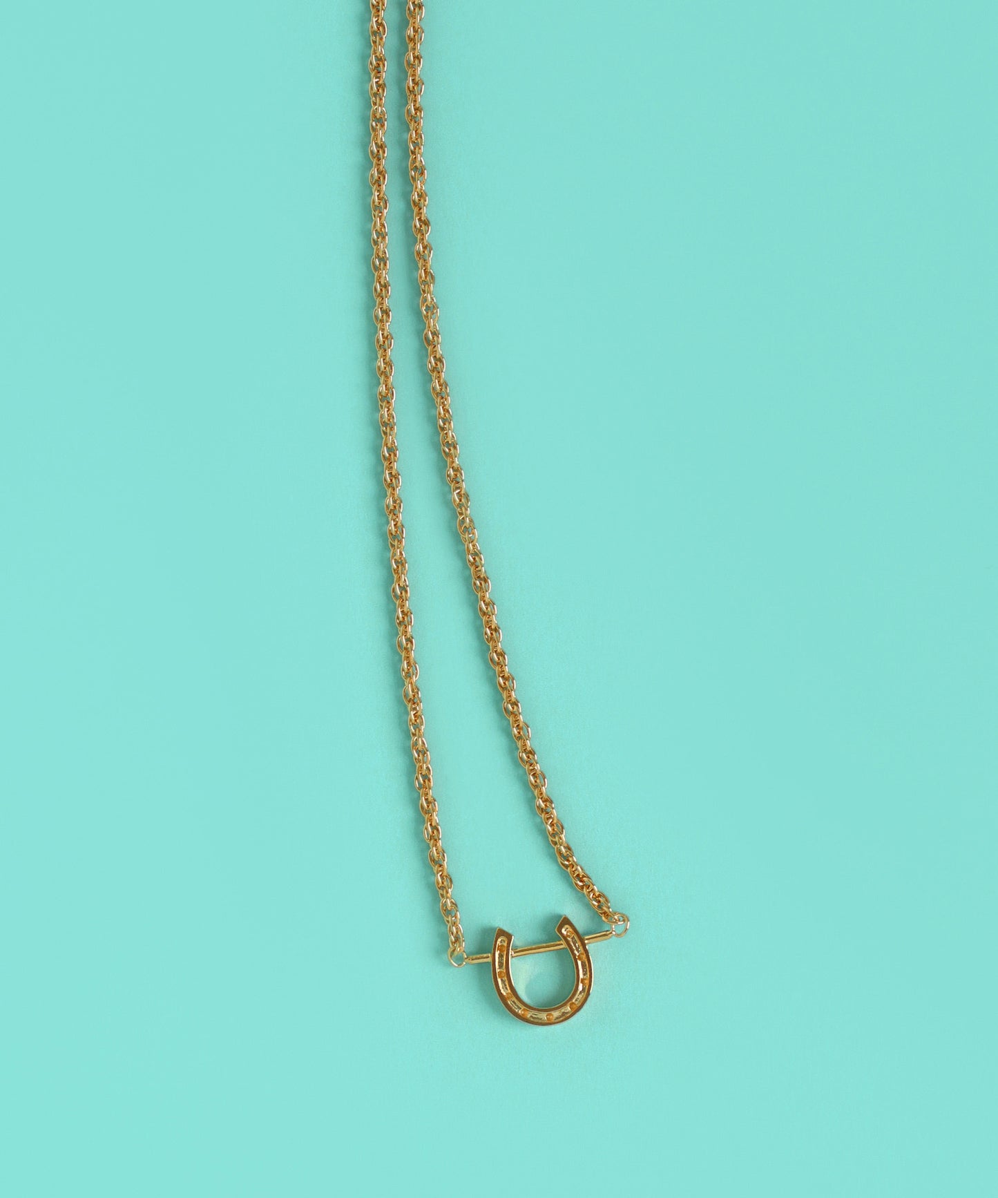 【Limited Qty】Horseshoe Necklace