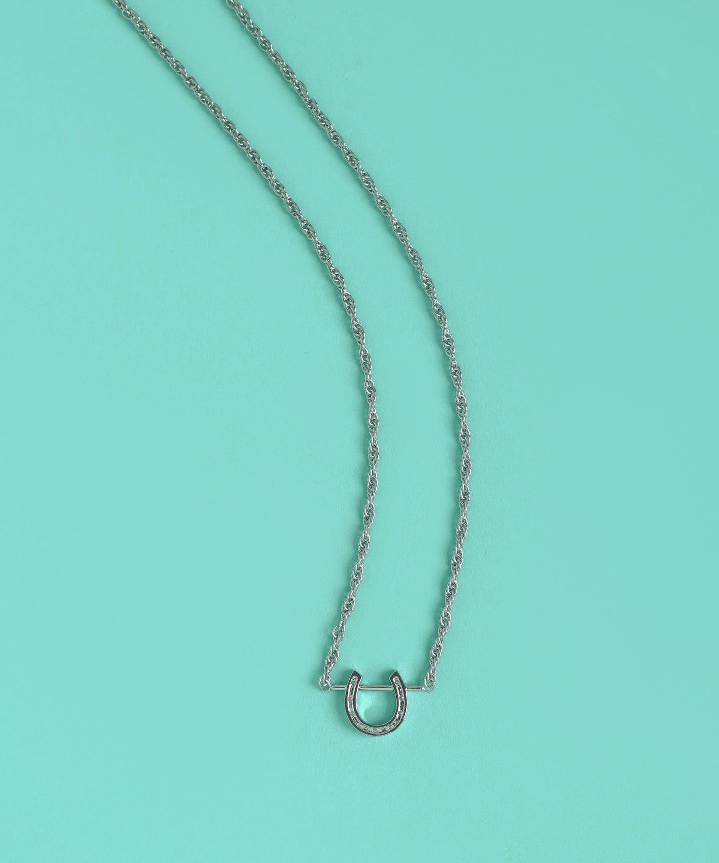 【Limited Qty】Horseshoe Necklace