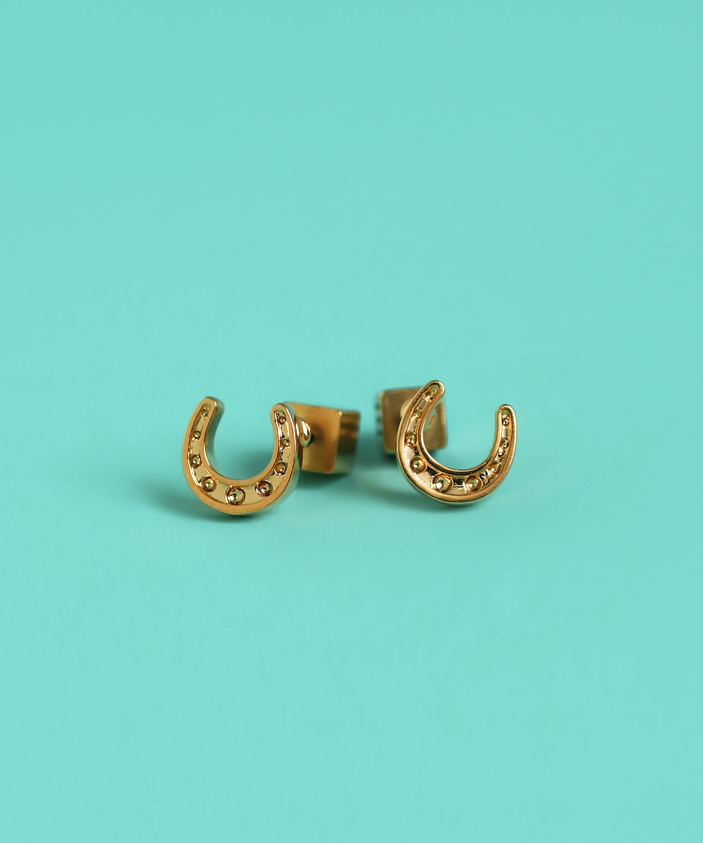 【Limited Qty】Horseshoe Earrings