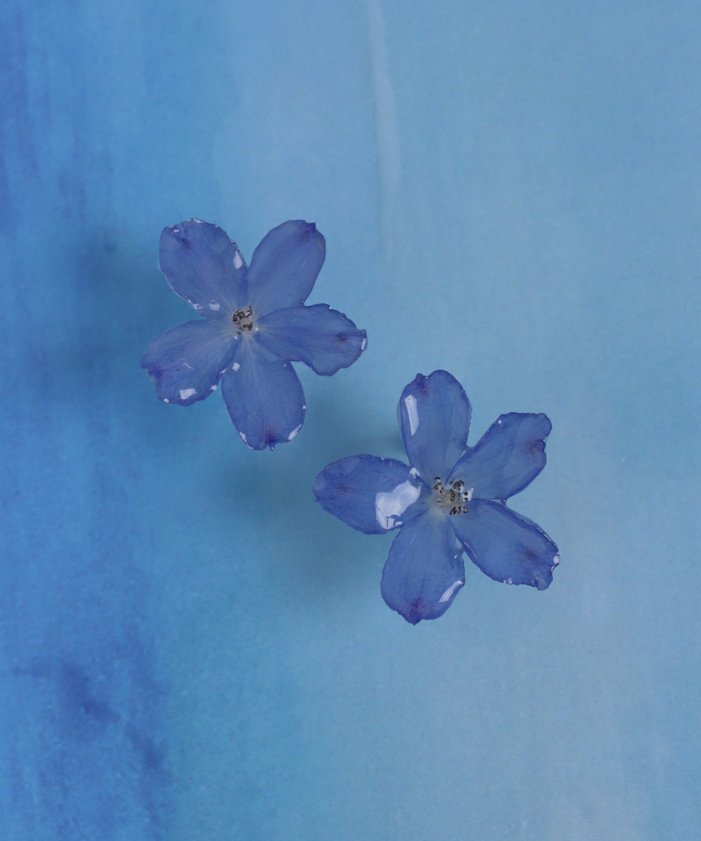 Flower Earrings [Delphinium]