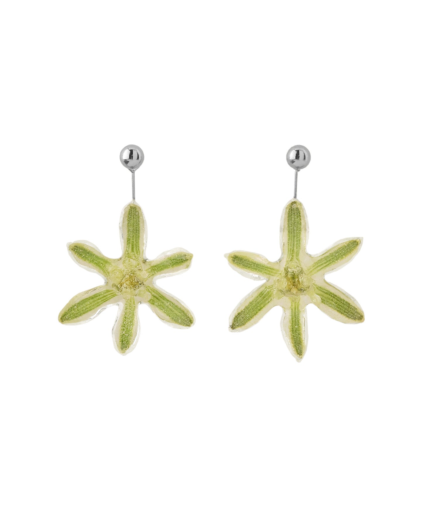 Flower Earrings [Ornithogalum]