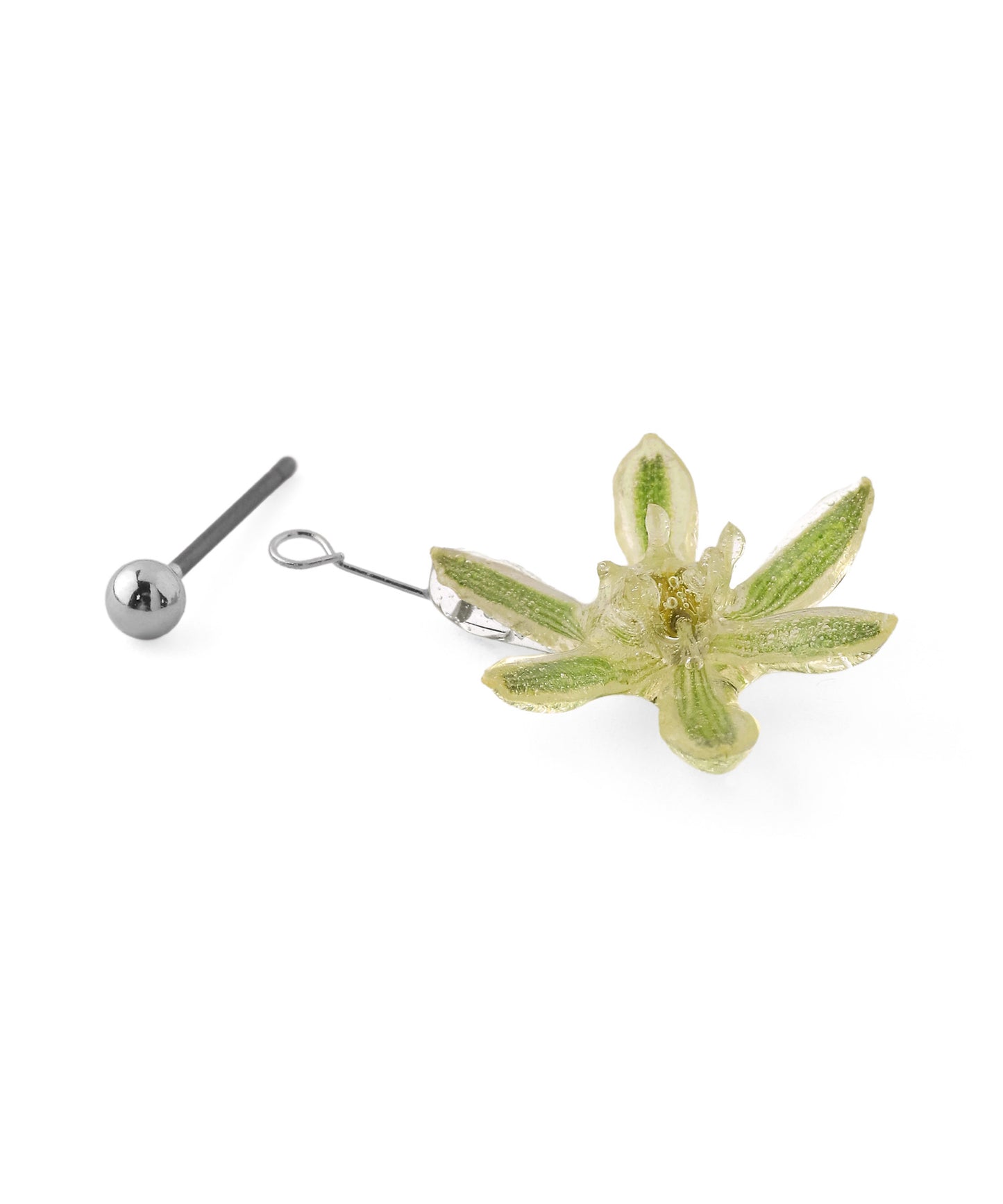 Flower Earrings [Ornithogalum]