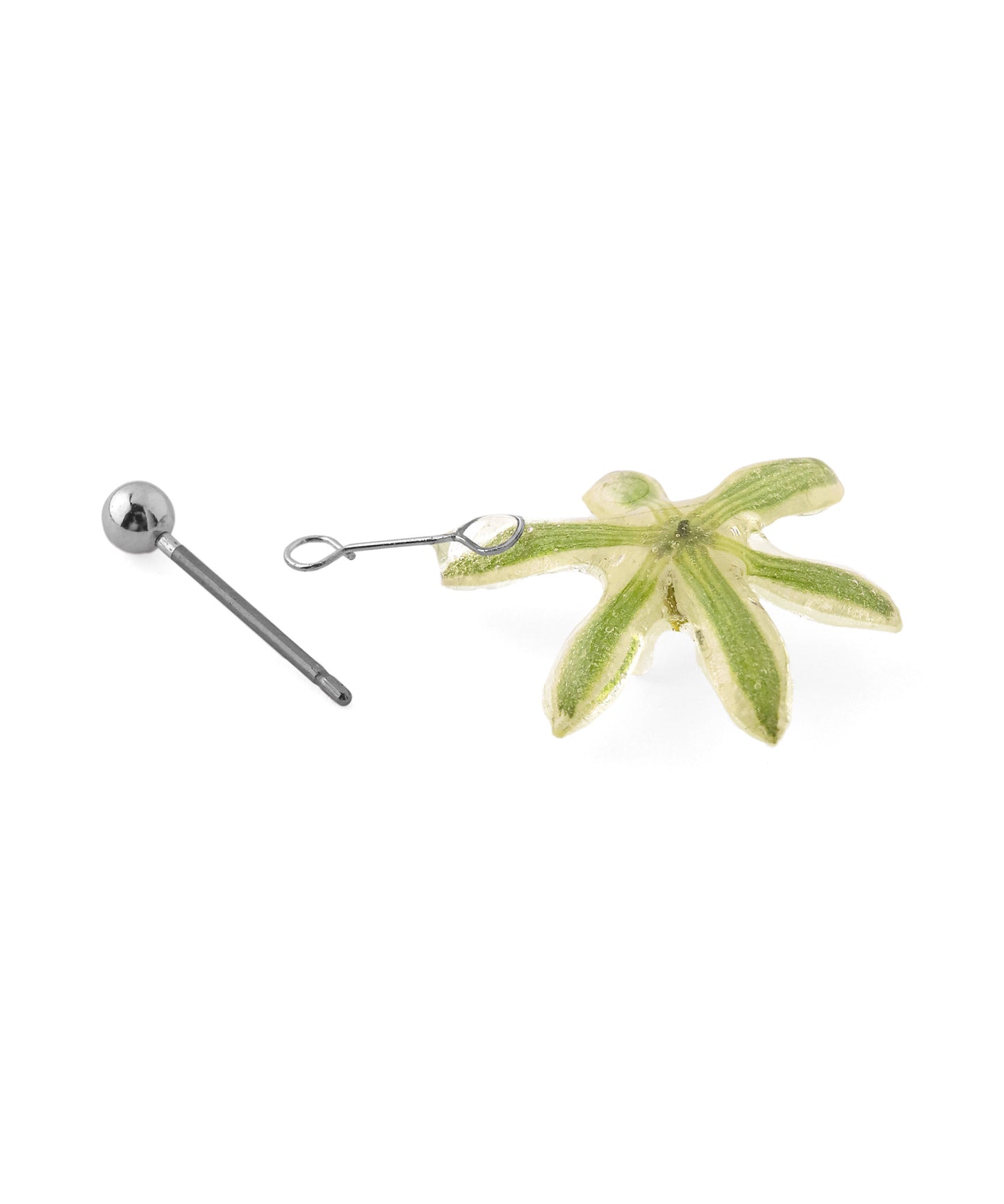 Flower Earrings [Ornithogalum]