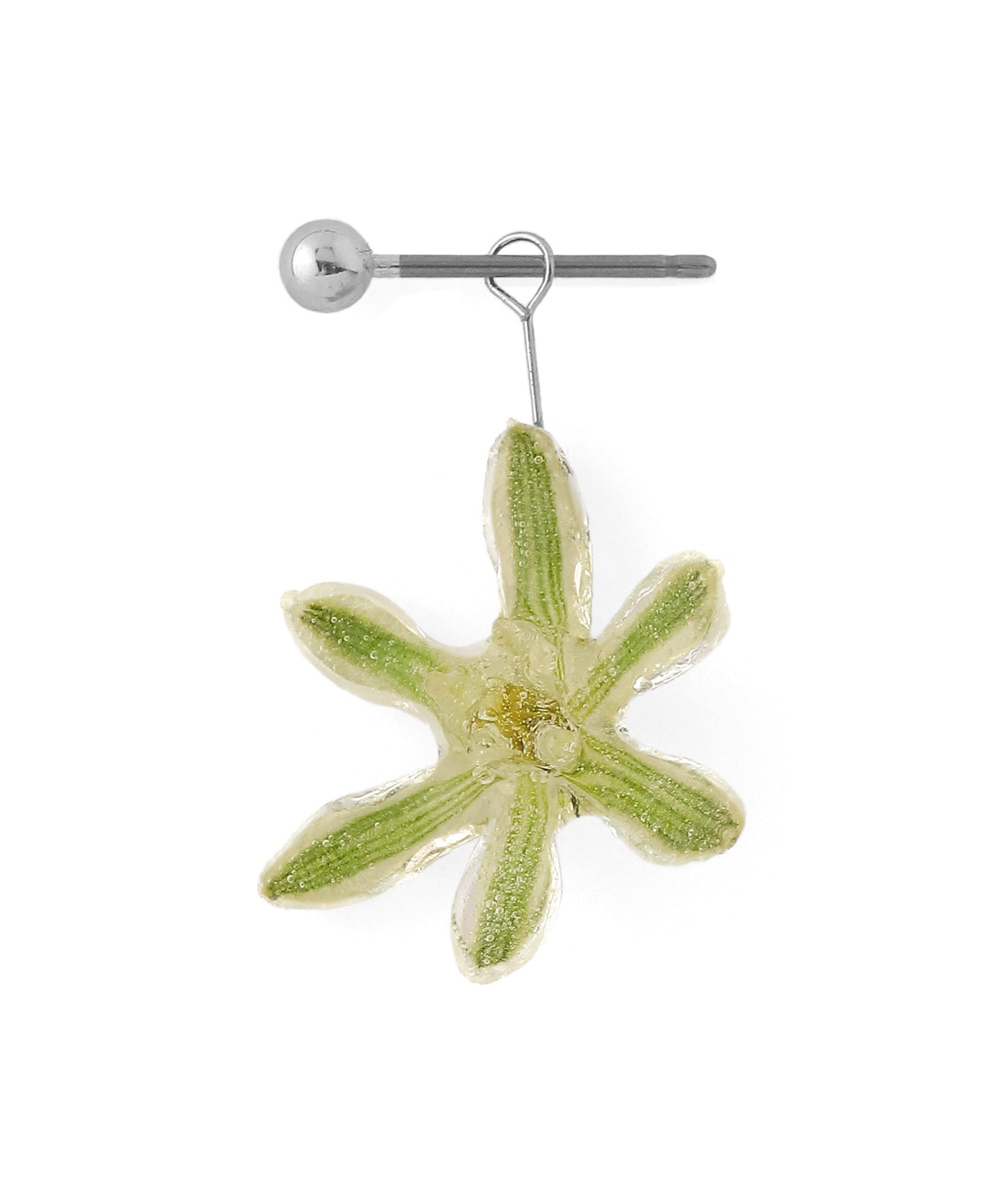 Flower Earrings [Ornithogalum]