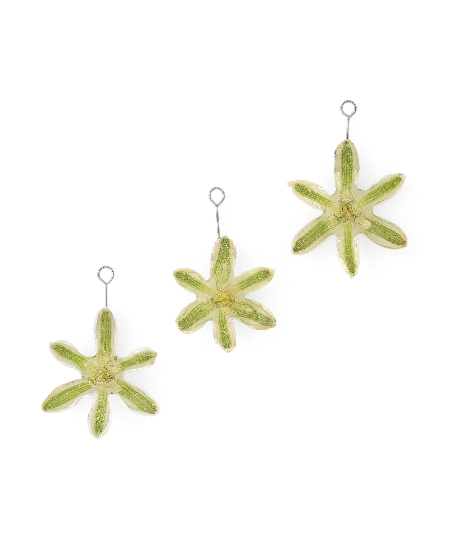 Flower Earrings [Ornithogalum]