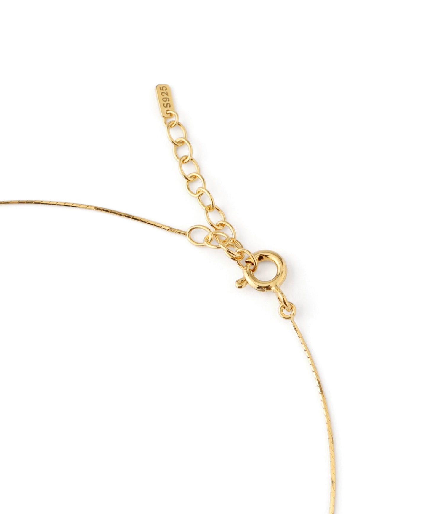 Snake Chain Necklace