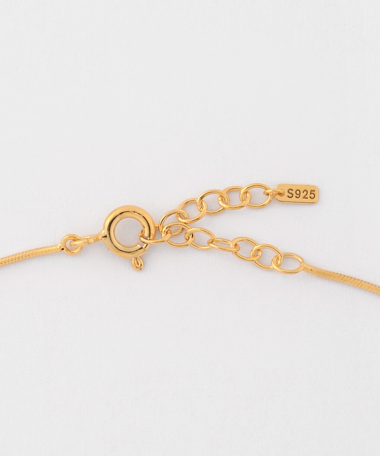 Snake Chain Necklace [Basic]