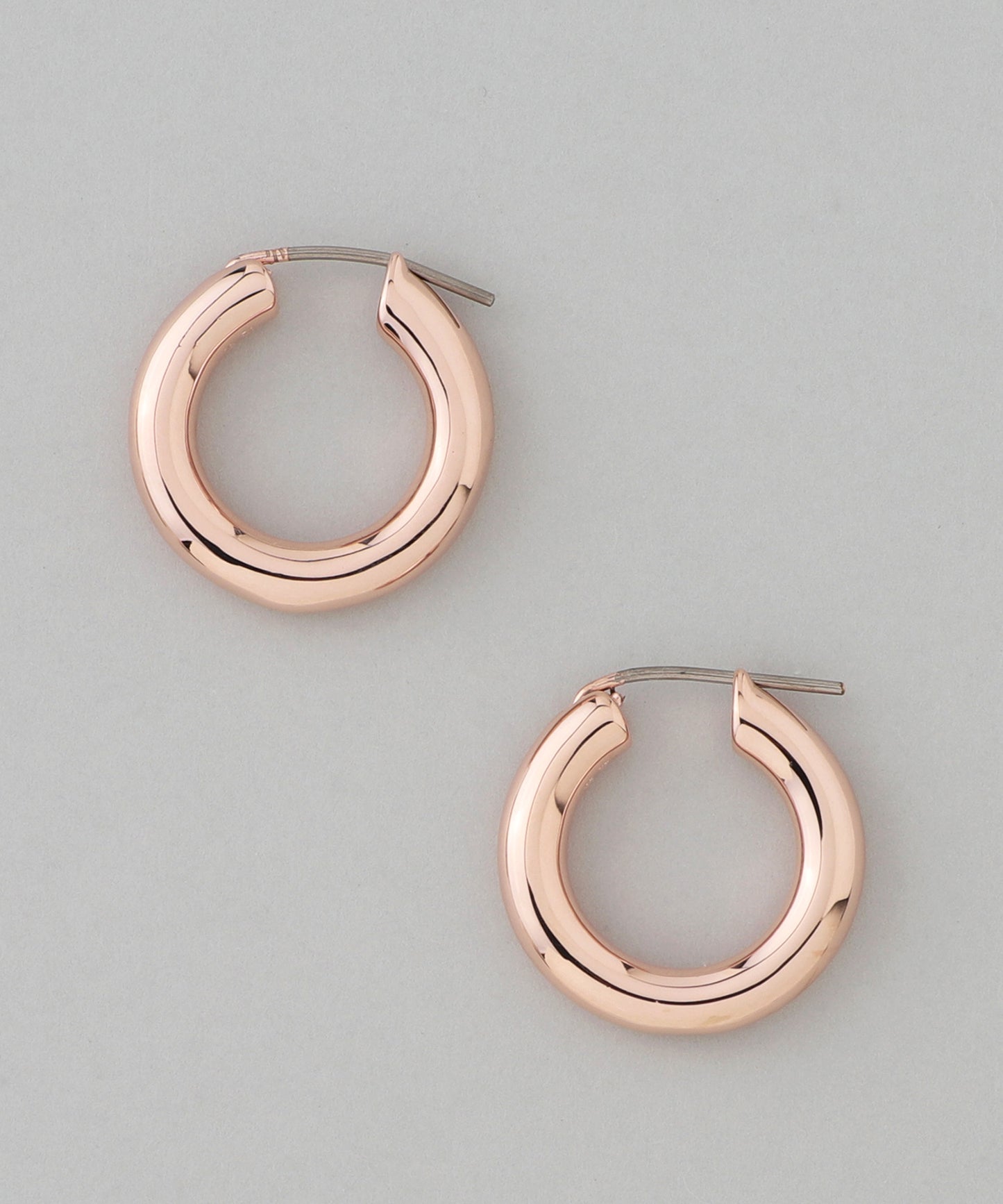 Metal Hoop Earrings [L][Basic]