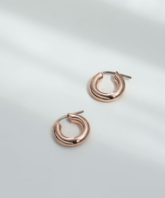 Metal Hoop Earrings [S][Basic]