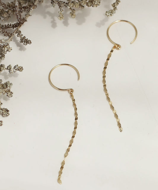 Chain Hook Earrings [10K]