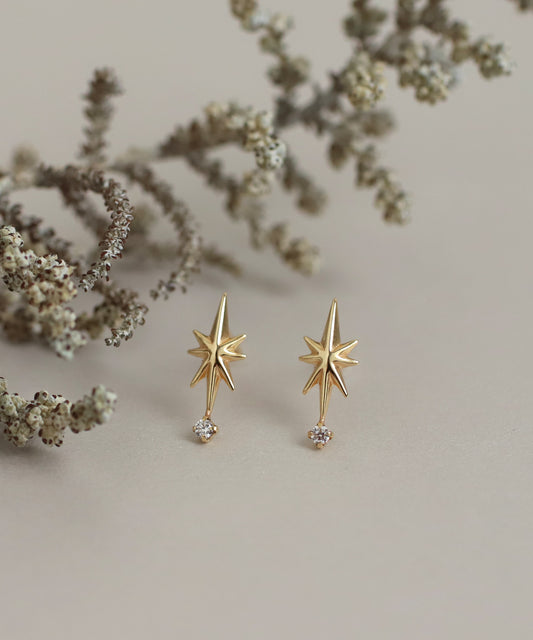 Star Motif Earrings [10K][Basic]